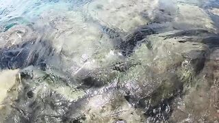 Mahé, Bel Ombre, Seychelles: рыбалка и снорклинг у кромки рифа