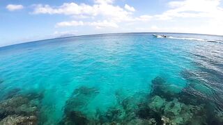 Mahé, Bel Ombre, Seychelles: рыбалка и снорклинг у кромки рифа