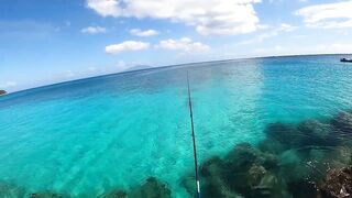 Mahé, Bel Ombre, Seychelles: рыбалка и снорклинг у кромки рифа