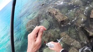 Mahé, Bel Ombre, Seychelles: рыбалка и снорклинг у кромки рифа