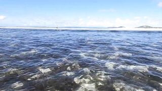 Praslin, Seychelles — большой выпуск: рыбалка, пляжи, казино