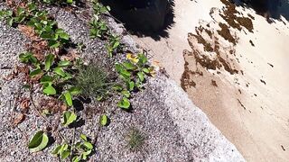 Praslin, Seychelles — большой выпуск: рыбалка, пляжи, казино