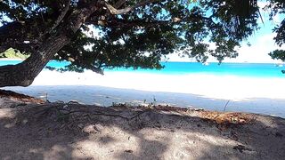 Praslin, Seychelles — большой выпуск: рыбалка, пляжи, казино