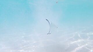 Praslin, Seychelles — большой выпуск: рыбалка, пляжи, казино