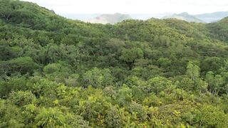 Сейшелы — природа La Digue, Praslin, Mahé: где рыбалка у рифа?