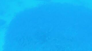 Сейшелы — природа La Digue, Praslin, Mahé: где рыбалка у рифа?