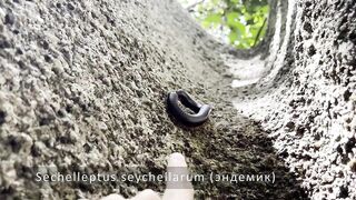 Сейшелы — природа La Digue, Praslin, Mahé: где рыбалка у рифа?