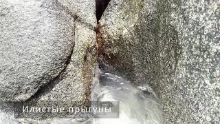 Сейшелы — природа La Digue, Praslin, Mahé: где рыбалка у рифа?