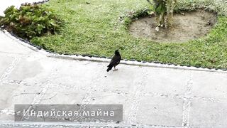 Сейшелы — природа La Digue, Praslin, Mahé: где рыбалка у рифа?