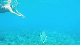 Сейшелы — природа La Digue, Praslin, Mahé: где рыбалка у рифа?