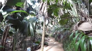 Praslin, Seychelles — видеоблог: пляжи, находки и рыбалка у камней