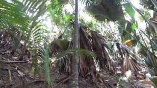 Praslin, Seychelles — видеоблог: пляжи, находки и рыбалка у камней