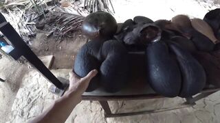 Praslin, Seychelles — видеоблог: пляжи, находки и рыбалка у камней