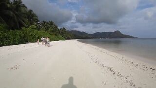 Praslin, Seychelles — видеоблог: пляжи, находки и рыбалка у камней