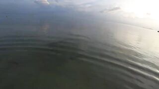 Praslin, Seychelles — видеоблог: пляжи, находки и рыбалка у камней