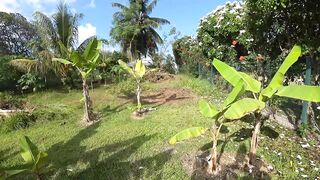 Praslin, Seychelles — видеоблог: пляжи, находки и рыбалка у камней