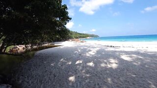 Praslin, Seychelles — видеоблог: пляжи, находки и рыбалка у камней