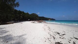 Praslin, Seychelles — видеоблог: пляжи, находки и рыбалка у камней