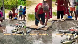 Seychelles, travel — морская рыбалка на Маэ и Праслине, маршруты выходов