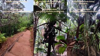 Praslin, Seychelles — специалист по трофеям: морская рыбалка у кромки рифа