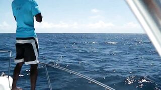 Praslin, Seychelles — рыбалка, октябрь 2015: точки и снасти