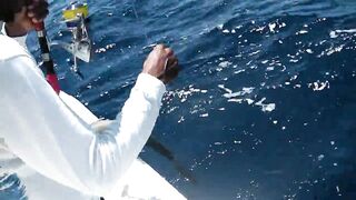 Praslin, Seychelles — рыбалка, октябрь 2015: точки и снасти