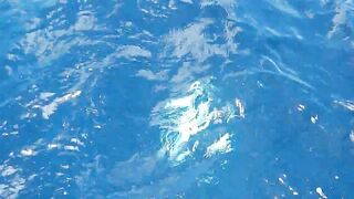 Praslin, Seychelles — рыбалка, октябрь 2015: точки и снасти