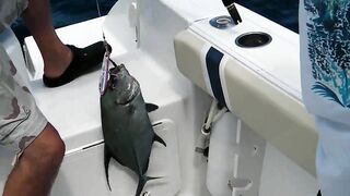 Praslin, Seychelles — рыбалка, октябрь 2015: точки и снасти