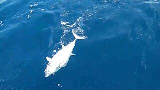 Praslin, Seychelles — рыбалка, октябрь 2015: точки и снасти