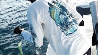 Praslin, Seychelles — рыбалка, октябрь 2015: точки и снасти