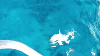 Praslin, Seychelles — рыбалка, октябрь 2015: точки и снасти