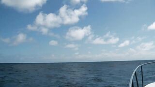 Praslin, Seychelles — рыбалка, октябрь 2015: точки и снасти