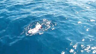 Praslin, Seychelles — рыбалка, октябрь 2015: точки и снасти