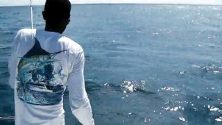 Praslin, Seychelles — рыбалка, октябрь 2015: точки и снасти