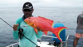 Praslin, Seychelles — рыбалка, октябрь 2017: итоги поездки