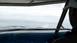 Praslin, Seychelles — рыбалка, октябрь 2017: итоги поездки