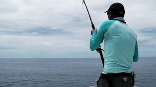 Praslin, Seychelles — рыбалка, октябрь 2017: итоги поездки