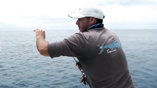 Praslin, Seychelles — рыбалка, октябрь 2017: итоги поездки