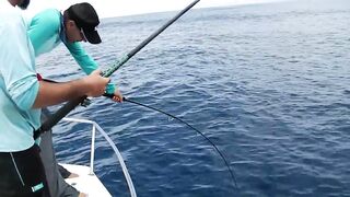 Praslin, Seychelles — рыбалка, октябрь 2017: итоги поездки