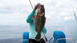 Praslin, Seychelles — рыбалка, октябрь 2017: итоги поездки