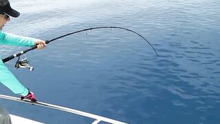 Praslin, Seychelles — рыбалка, октябрь 2017: итоги поездки