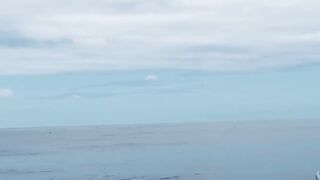 Praslin, Seychelles — рыбалка, октябрь 2017: итоги поездки