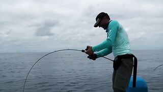 Praslin, Seychelles — рыбалка, октябрь 2017: итоги поездки