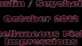 Praslin, Seychelles — рыбалка, октябрь 2012: как это было