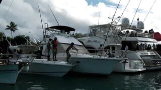 Praslin, Seychelles — рыбалка, октябрь 2012: как это было