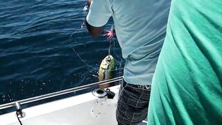 Praslin, Seychelles — рыбалка, октябрь 2012: как это было