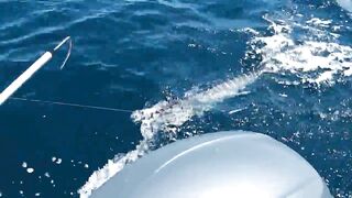 Praslin, Seychelles — рыбалка, октябрь 2012: как это было