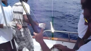 Praslin, Seychelles — рыбалка, октябрь 2012: как это было