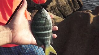 La Digue, Seychelles — Анс Север: рыбалка на 4-й день по плану