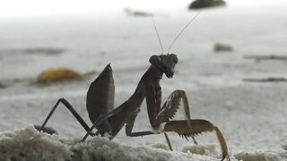 La Digue, Seychelles — Анс Север: рыбалка на 4-й день по плану